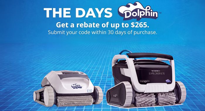 Dolphin days